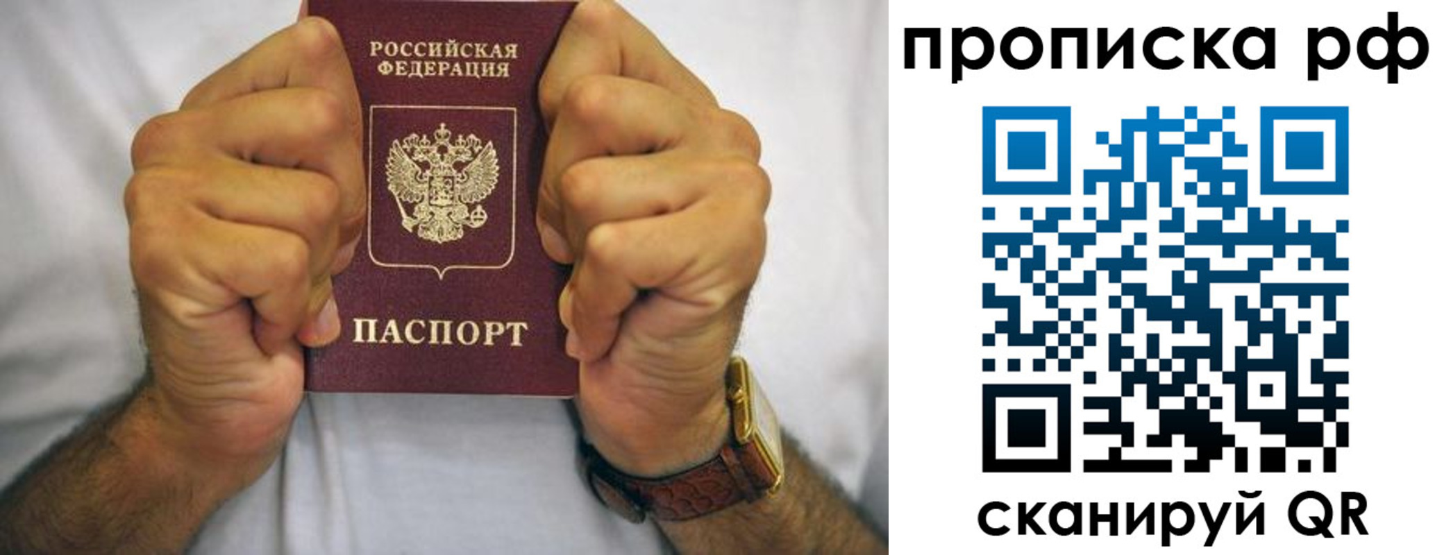 прописка регистрация в Ясном
